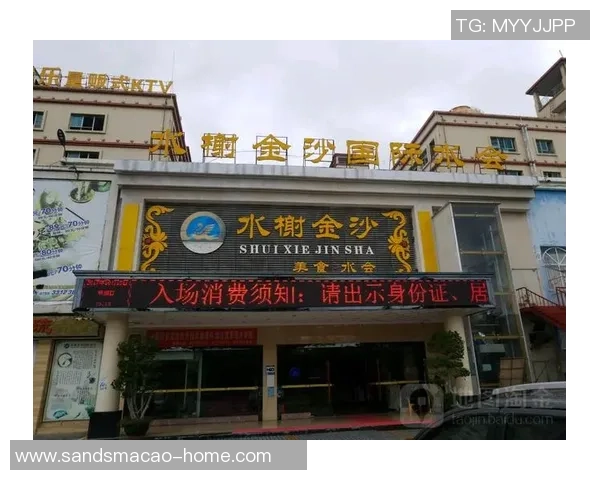 金沙国际娱乐骗子-警惕金沙国际娱乐，揭露可能的骗局-金沙国际娱乐骗子